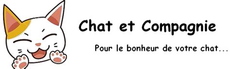 chat et compagnie forum